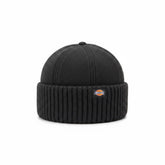 Dickies Garnett Fisherman Beanie in Black.