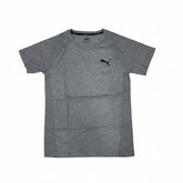 Puma T-Shirt Evostripe Move Grey