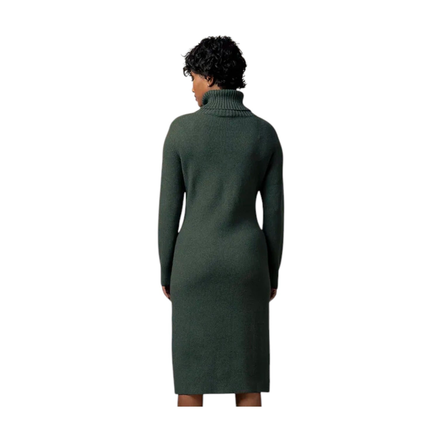 Polo LS Roll Neck Knit Dress - Forest Green