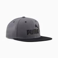 Puma Cap Logo Flat Brim Grey/Black