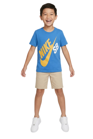 Nike Kids T-Shirt Sb Takedown Blue