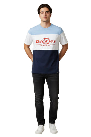 Dickies Fort Worth Colorblock T-Shirt – Multi.