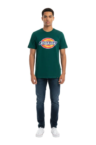 Dickies Crew Horsheshoe Rainforest Green