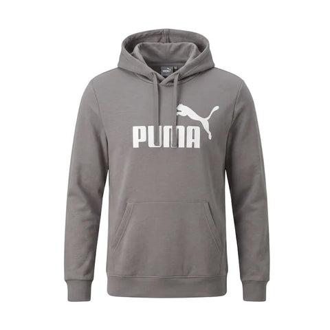 Puma Hoody Essentials Logo Grey