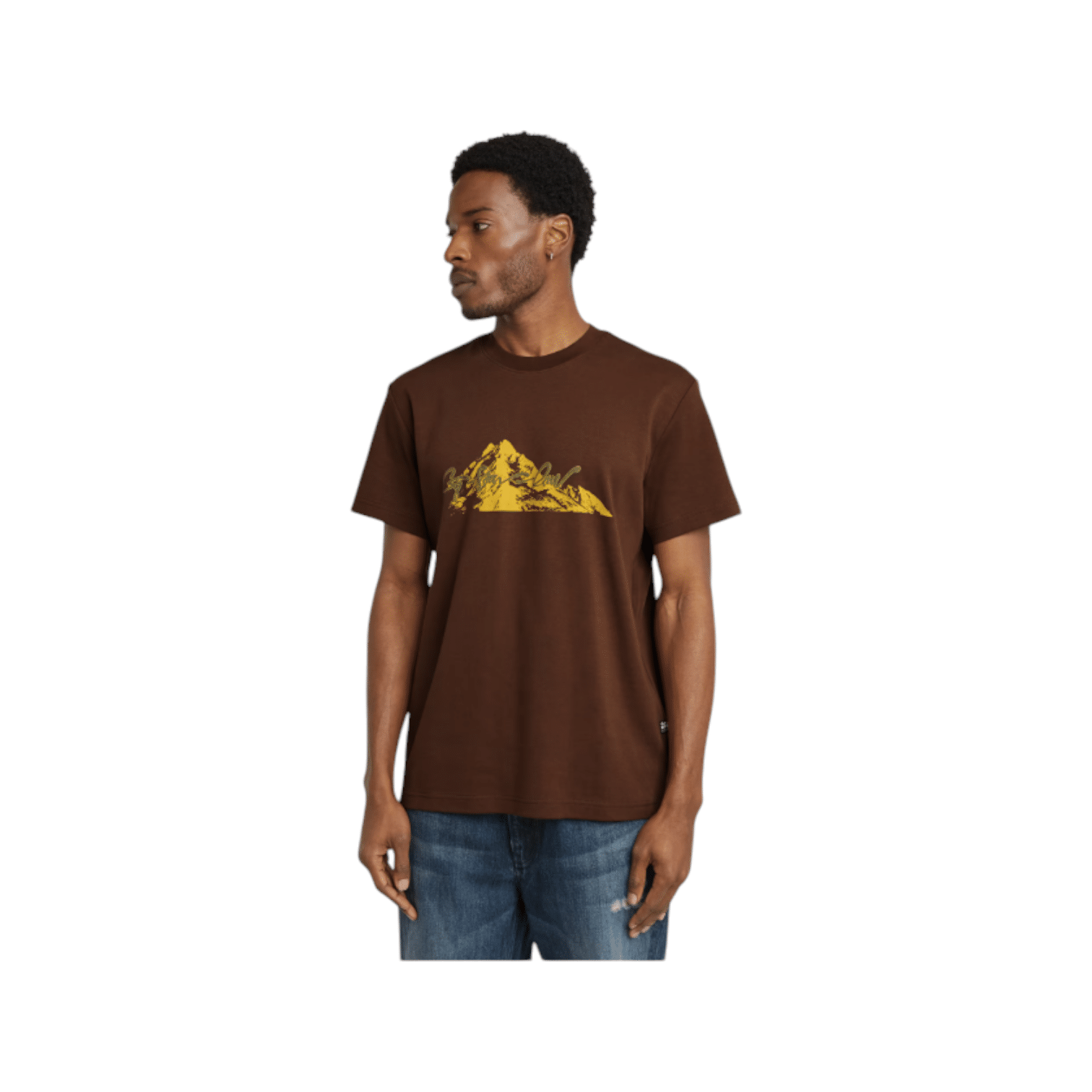 G Star Tee Summit Graphic Brown