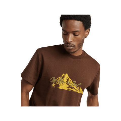 G Star Tee Summit Graphic Brown