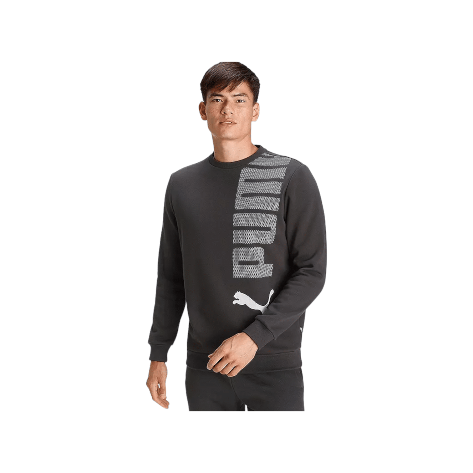 Puma Essential Logo Lab Sweater Black