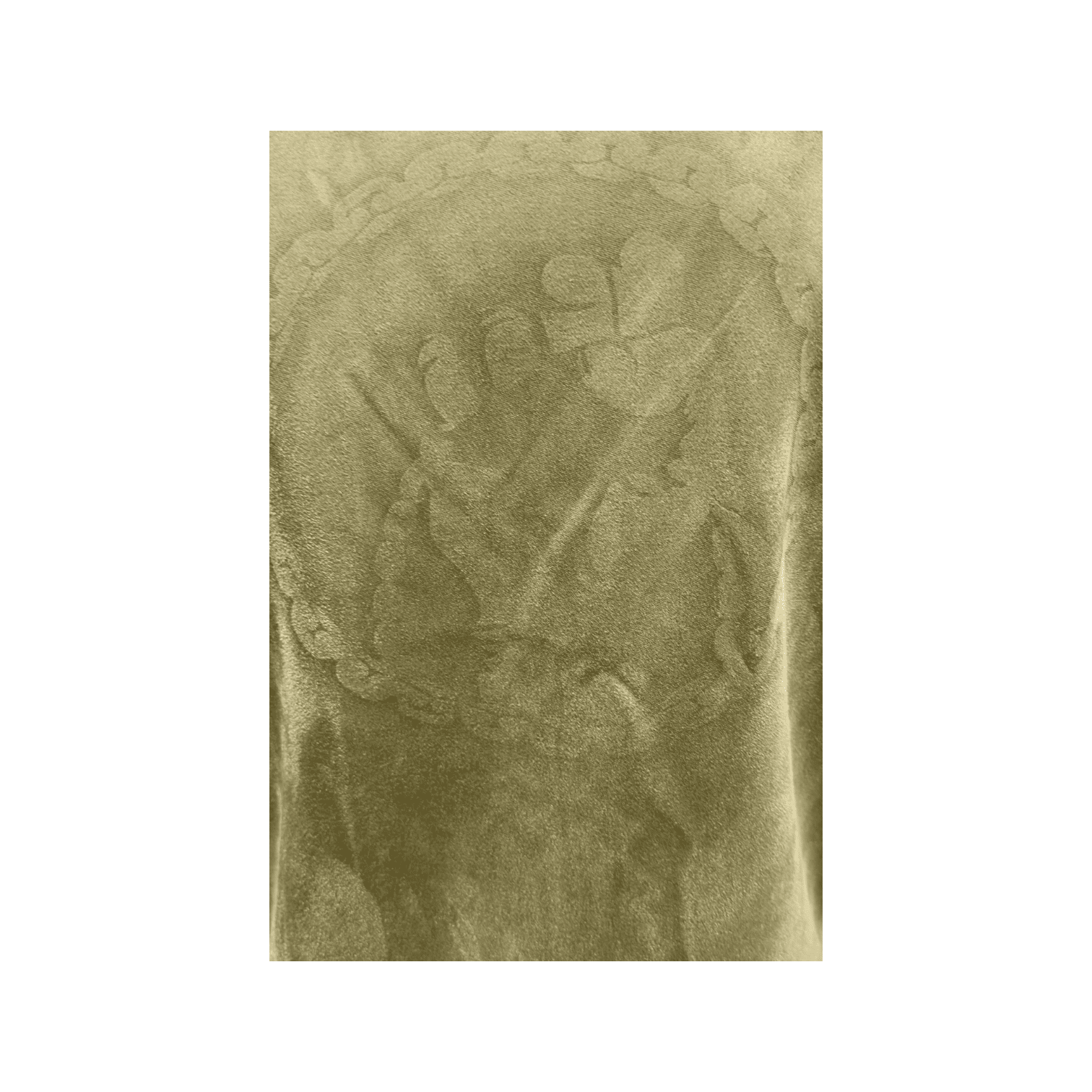 Vialli T Shirt Imprenta Odd Olive