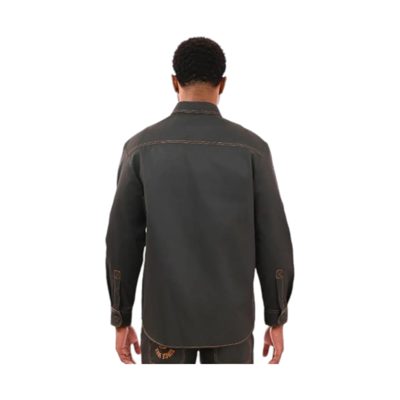 Dickies Shirt Logan LS Carpenter - Olive