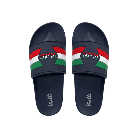 Vialli Slides Burdissia Navy