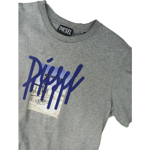 Diesel Diego T Shirt Grey