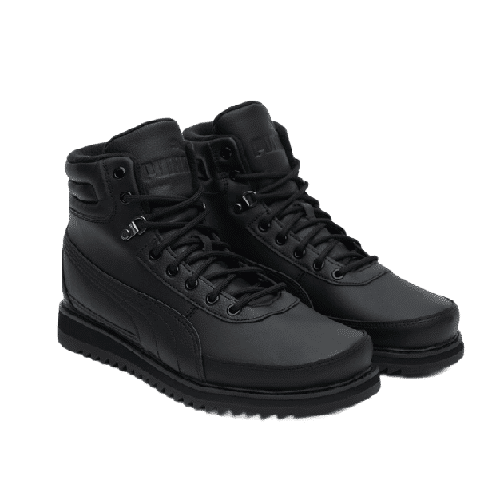 Puma Desierto V2