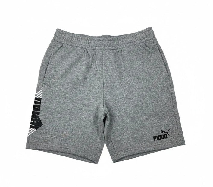 Puma Shorts Power Logo Grey