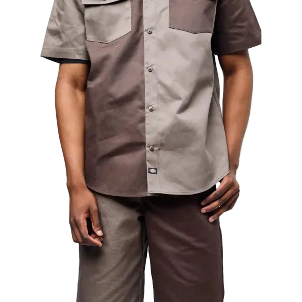 Dickies Bermuda Brooklyn Chocolate/Taupe