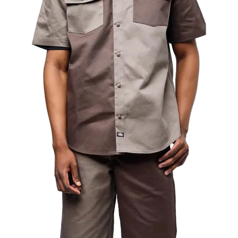 Dickies Bermuda Brooklyn Chocolate/Taupe