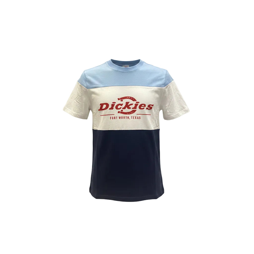 Dickies Fort Worth Colorblock T-Shirt – Multi.