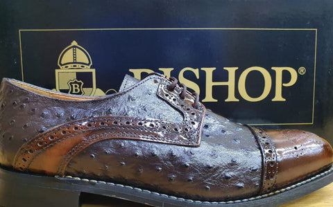 Bishop Lace Up Formal Shoe 50305 Chocolate