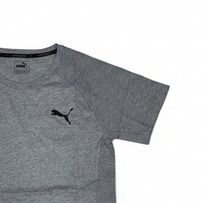Puma T-Shirt Evostripe Move Grey