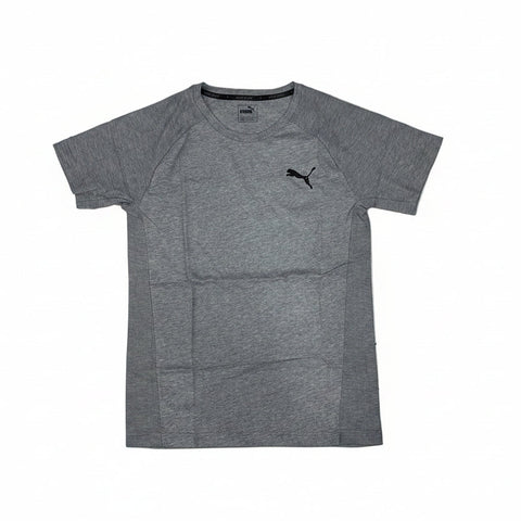 Puma T-Shirt Evostripe Move Grey