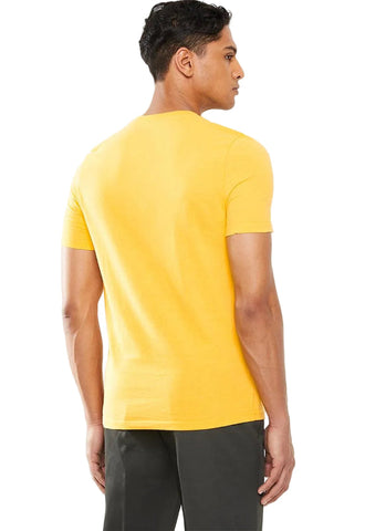 Dickies Bcrew Logo Custard
