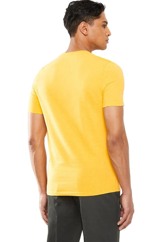 Dickies Icon Logo Short Sleeve T-Shirt – Custard