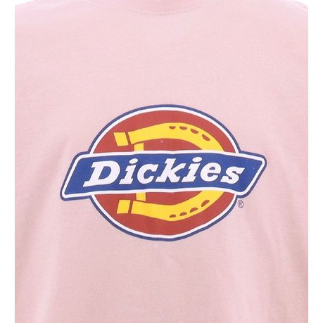 Dickies T-Shirt Kids Print Logo Flamingo