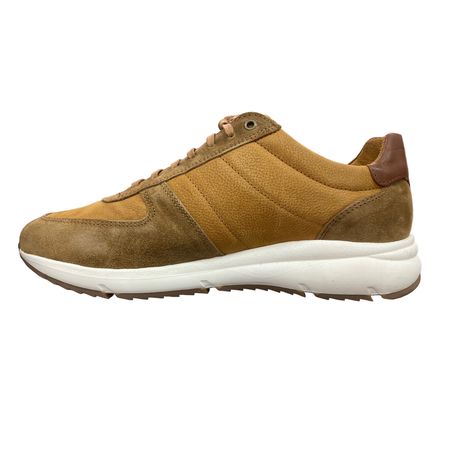 Rossimoda Sneaker Alvar Tan